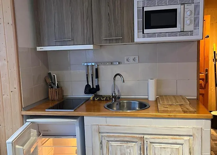 Con Garaje A Pie De Pistas Apartment Sierra Nevada